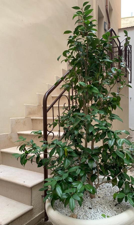 Appartamento Camelia Palo del Colle Ngoại thất bức ảnh